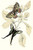 Buyenlarge 0-587-32282-9-G1624 European Butterflies & Moths Fine Art Giclee Print, 16" x 24"