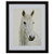 Amazon Brand  Stone & Beam Modern Photo of White Horse, Brown Frame, 18" x 22"