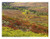 Global Gallery Art on a Budget DP-397060-1824 Tim Fitzharris Autumn Tundra with Boreal Forest Tombstone Park Yukon Territory Canada Unframed Giclee on