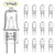 G8 Halogen Light Bulb 35W 120V T4 JCD Type G8 Bi-Pin Base (12 Pack) Dimmable G8 Xenon Bulbs for Kitchen Hood, Landscape Lights, Desk and Floor Lamps,