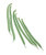Burpee Fin Des Bagnols Bush Bean Seeds 30 g
