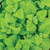Burpee New Zealand Spinach Seeds 100 seeds