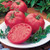 Burpee 'Brandy Boy' Hybrid | Red Beefsteak Slicing Tomato | 35 Seeds