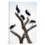 iCanvasART iCanvas Openbill Storks II, Tarangire National Park, Manyara Region, Tanzania Gallery Wrapped Canvas Art Print by Panoramic Images, 12" x 8
