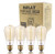 Vintage Edison Bulbs, Rolay 60w Clear Glass Dimmable Vintage Edison Light Bulbs for Home Deco, 4 Pack