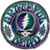 Dye the Sky Grateful Dead Steal Your Face Batik - Window Sticker/Decal (6" Circular)