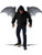 California Costumes Men's Wicked Wings, Gray/Black, One Size