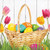 Creative Converting Napkin, Multicolor