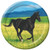 Creative Converting Wild Horses 8 Count Paper Lunch Plates