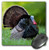 3D Rose"Wild Turkey Gobbler." Matte Finish Mouse Pad - 8 x 8" - mp_209807_1