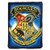 Harry Potter, "Hidden School" Micro Raschel Throw Blanket, 46" x 60", Multi Color
