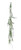 Creative Co-op Poly Bag Creeping Cedar, Green