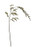 Creative Co-op 55" H Amaranthus Stem Faux Botanicals, Green