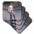 3dRose Michaelangelos David Statue Coaster, Set of 4
