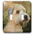 3dRose lsp_4808_2"Soft Coated Wheaten Terrier Portrait Double Toggle Switch