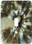 3dRose Lsp_20984_1 Looking Straight Up Single Toggle Switch