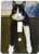 3dRose lsp_23450_1 Black And White Cat With Nothing To Do Single Toggle Switch