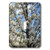 3dRose lsp_30907_1 Spring Tree Flowers Nature Toggle Switch, Multicolor