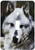 3dRose lsp_57071_1 Gray Wolf Looking Straight at You Single Toggle Switch