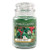 Yankee Candles Rainforest Large Jar Candle,Fresh Scent