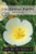 Sow Right Seeds - White Linen California Poppy Seeds to Plant - Full Instructions for Planting and Growing a Beautiful Flower Garden; Non-GMO Heirloom Seeds; Wonderful Gardening Gift (1)