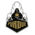 Purdue Boilermakers Premium Large Die Cut Vinyl Decal, Cornhole Boards