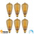 6-Pack Edison Light Bulb 40W - Vintage Squirrel Cage Filament Amber Glass Incandescent Lamps - Antique Vintage Old Fashion ST64 2200K Warm White E26 Dimmable