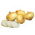 Burpee Granex Yellow Onion Seeds 450 seeds