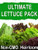 SavvyGrow Heirloom Lettuce Seeds (10 Varieties)  Survival Garden Seeds for Planting Include - Open Pollinated, 85% Plus Germination Rate, Non-GMO & Source in USA Vegetable Seed (Lettuce)