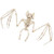 Halloween Animal Skeleton Decration Horrible Bat Skeleton Simulation Bat Model Vivid Bat Bone Yard Decorations w Hangable Feet and Movable Jaws