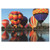 Jigsaw Puzzles for Adults 1000 Piece Puzzle Dreamy Hot Air Ballooon Scene Puzzles Challenging Large Puzzle Game Toys Gift Buffalo Games
