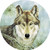 Thirstystone Stoneware Coaster Set, Lone Wolf