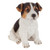 Design Toscano JQ100672 Jack Russel Terrier Puppy Partner Collectible Dog Statue, Black and White
