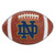 FANMATS NCAA Notre Dame Fighting Irish Nylon Face Football Rug