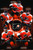 Trends International NHL Philadelphia Flyers - Team, 22.375" x 34", Premium Unframed