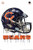 Trends International NFL Chicago Bears - Drip Helmet 20 Wall Poster, 22.375" x 34", Premium Unframed