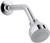 KOHLER K-11637-CP Coralais 2.5 GPM Single-Function Wall-Mount Showerhead, Polished Chrome