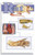 Frey Scientific 580798 Mini-Guide to Rat Dissection