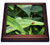3dRose Ladybug Photo Trivet with Ceramic Tile, 8 by 8", Brown