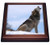3dRose The Wolf Howling Trivet with Ceramic Tile, 8 by 8", Brown