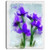 Design Art Blue Irises Illustration Watercolor Floral on Canvas Art Wall Photgraphy Artwork Print