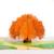 Japanese maple Pop Up Card (Orange Maple Tree), Tree Pop Up Card, Greeting Card, 3D Cards, Pop Up Birthday Card, Anniversary Pop Up Card, Thanksgiving Pop Up Cards, Pop Cards Mothers Day