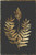 Posterazzi Flowering Fern Poster Print by PI Collection (18 x 12)