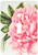 3dRose lsp_99406_1 Pretty Pink Peony Vintage Botanical Art Single Toggle Switch