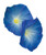 Burpee Heavenly Blue Morning Glory Seeds 150 seeds