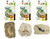 Geoworld Fossil Replica Dig and Discover Bundle (Set 1)