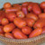 Burpee 'Juliet' Hybrid | Red Plum Tomato | 30 Seeds