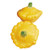 Burpee Sunburst Summer Squash Seeds 25 seeds