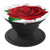 BRIGHT RED ROSE FLOWER BLOOM IN SPRING PopSockets Grip and Stand for Phones and Tablets