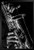 Musician Playing Saxophone Black and White Photo Fine Black Wood Framed Art Poster 14x20